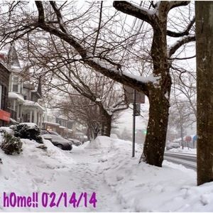 Meet your Posher, Arlene